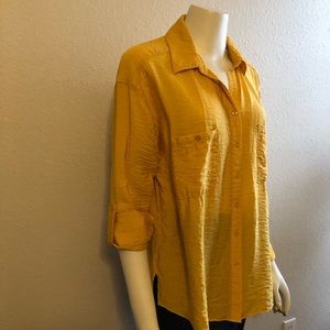 Sunflower yellow top